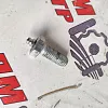 Болт 12х30-8.8 под масленку